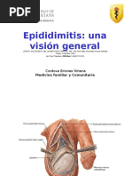 Epididimitis