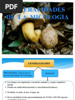 Micologia 