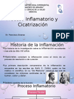 Proceso Inflamatorio y Cicatrización