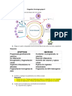 Preguntas Oncologia Grupo 5 1