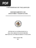 Densitometria Osea PDF