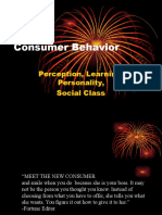 Consumer Behavior: Perception, Learning, Personality, Social Class