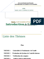 Cours Audit Theme 1 2011