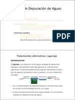 TEMA 8 Parte 1. Lagunaje