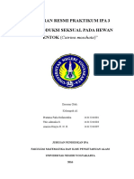 Laporan Resmi Reproduksi Seksual Hewan