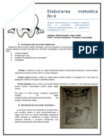 Elaborarea Metodică NR 4 Midoni