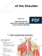 ULP - Muscle of The Shoulder (Moga Ismi Gita) G