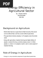 Energy Efficiency in Agricultural Sector