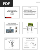 Sensory Motor Integration