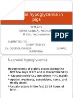 Neonatal Hypoglycemia in Pigs