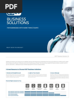 ESET Business Solutions