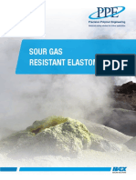 2511A Sour Gas Brochure English