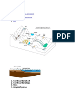 Shallow Water Marine Environment Deep Water Marine Environment Reef