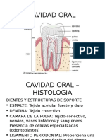 Cavidad Oral