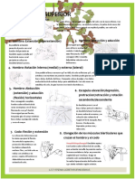 Movilizaciones Activas y Pasivass Imag