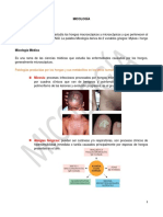 Micología Médica 2015 D Arial 1