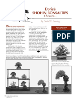 Shohin Bonsai Article