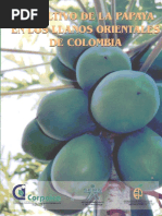 Cultivo de La Papaya PDF