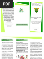 3 Triptico PROCESO ESCOLAR PDF