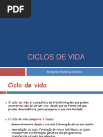 Ciclos de Vida