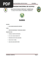 Procesos Olamsa