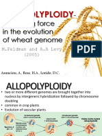 Allopolyploidy of Wheat