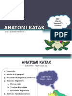 Anatomi Katak