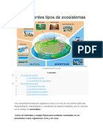 Los Diferentes Tipos de Ecosistemas