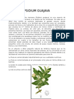 Plantas Medicinales Comunes Con Nombre Cientifico Ilustrada