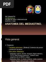 21 Anatomia Mediastinal