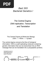 Central Dogma