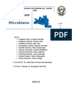 Metabolismo Microbiano Trabajo