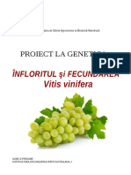 Infloritul Si Fecundarea-Vitis Vinifera