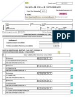 Bilant Consolidat J788767 12.2015