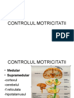 Curs 2 Kinesiologie