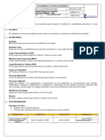 Formato de Seguridad 003 Andamios y Plataformas Elevadas.