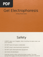 Electrophoresis Food Dye