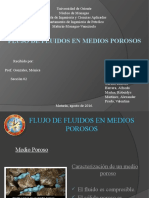 Flujo de Fluidos en Medios Porosos