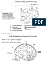 Actividad Complementaria Anatomia Encefalo