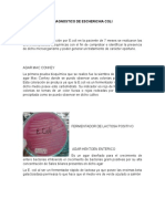 Diagnostico de Escherichia Coli