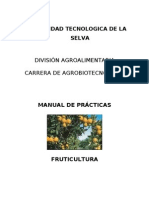 25.3 Manual de Practicas de Fruticultura