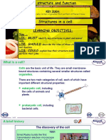 Lesson 6 Structures in A Cell JJ