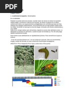 Resumen de Plagas y Enfermedades de Pinos