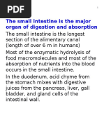 Bio LCV 04 Digestion.3 W17