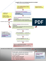 Treatment of Neuropathic Pain MMIG