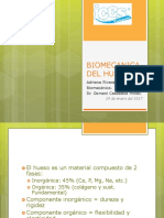 Biomecanica Del Hueso