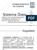 Sistema Óseo