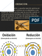 Bioquimica La Oxidacion y Su Incidencia en Los Seres Vivos