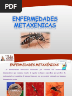 Enfermedades Metaxenicas