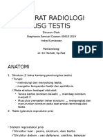 Usg Testis